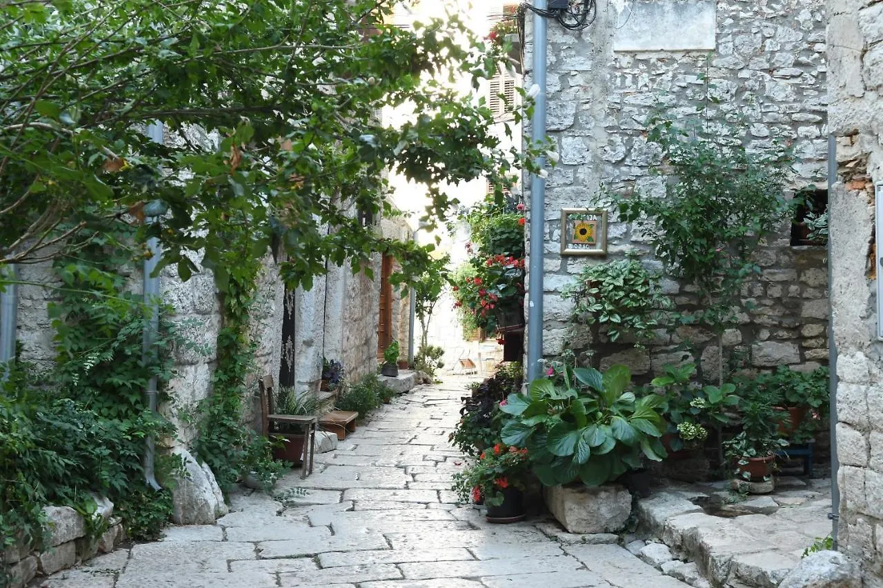 Villa Arte Bale Apartment